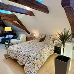 Loft De La Chartreuse Gravelotte Appartement