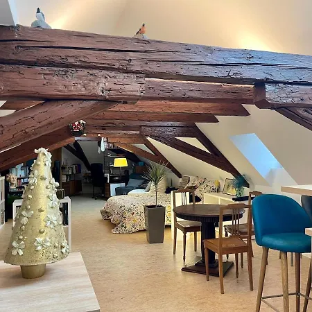 Loft De La Chartreuse Gravelotte Strasburgo