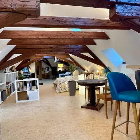 Loft De La Chartreuse Gravelotte 아파트 스트라스부르