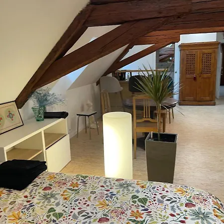 Apartamento Loft De La Chartreuse Gravelotte Estrasburgo