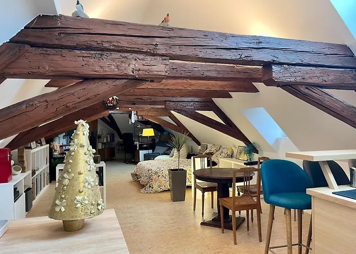 Loft De La Chartreuse Gravelotte Strasbourg