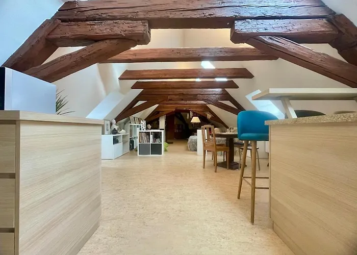 Loft De La Chartreuse Gravelotte Appartement Strasbourg