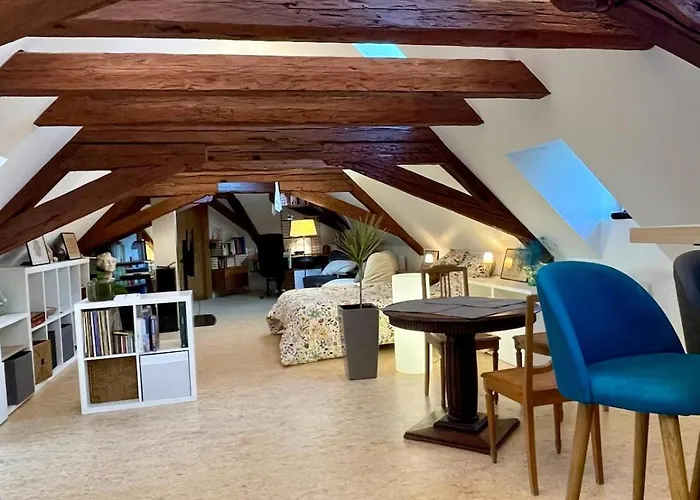 Loft De La Chartreuse Gravelotte Appartement Strasbourg
