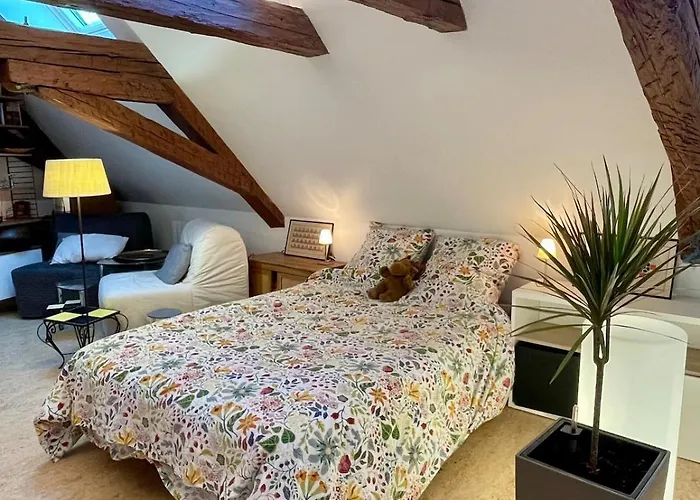 Loft De La Chartreuse Gravelotte Appartement