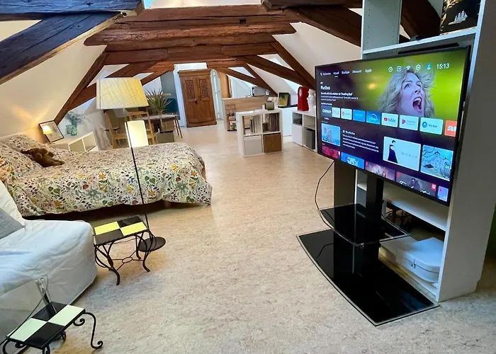 Loft De La Chartreuse Gravelotte Appartement *