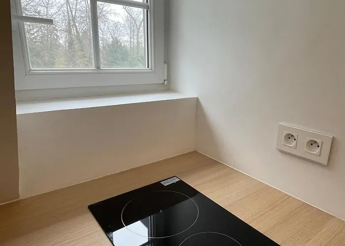 Apartamento Loft De La Chartreuse Gravelotte