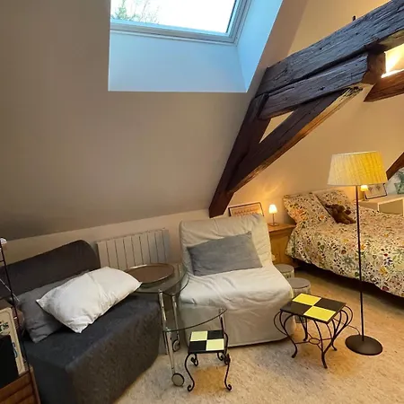Loft De La Chartreuse Gravelotte Appartement