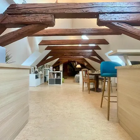 Loft De La Chartreuse Gravelotte Apartment Strasbourg