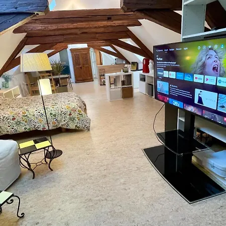 Loft De La Chartreuse Gravelotte Apartment *