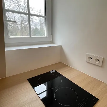 דירה Loft De La Chartreuse Gravelotte